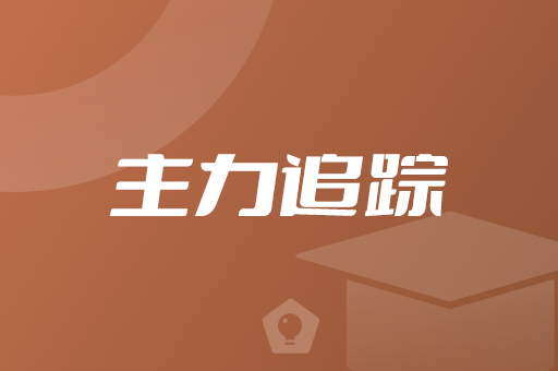 主力追踪