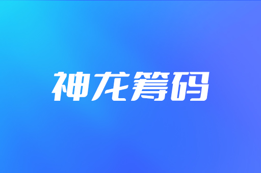 神龙筹码